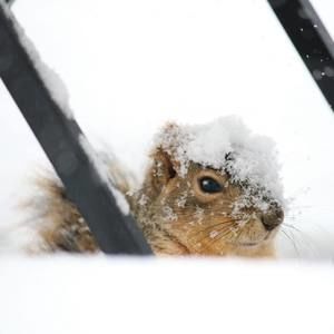 Meet your Posher, Karla